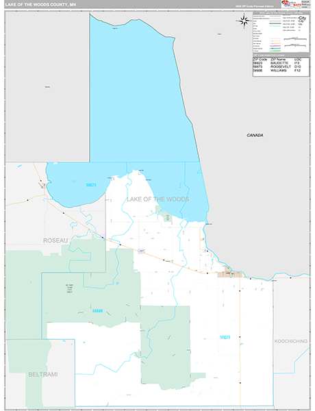 Lake of the Woods County, MN Wall Map